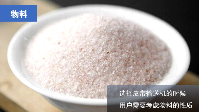 湿盐皮带输送机物料